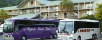 Pegasus Coach Tours image 5